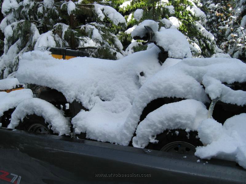 40. Jack's quad.  There's no blue..jpg