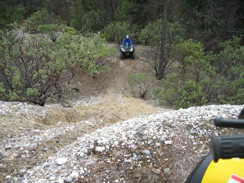 08. I'm up....Faster Bambi..jpg