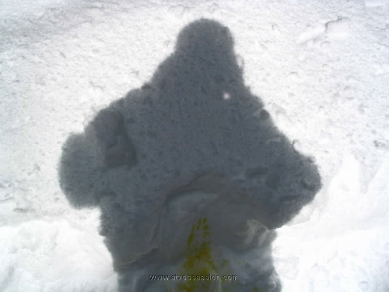 15. Terry's facination with his new yellow snow..jpg