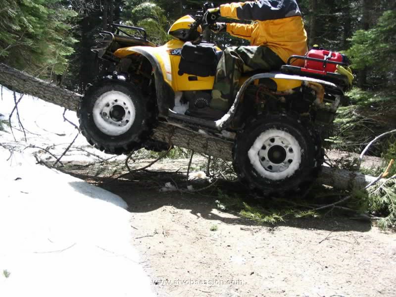 34. I got a little high centered on a tree..jpg