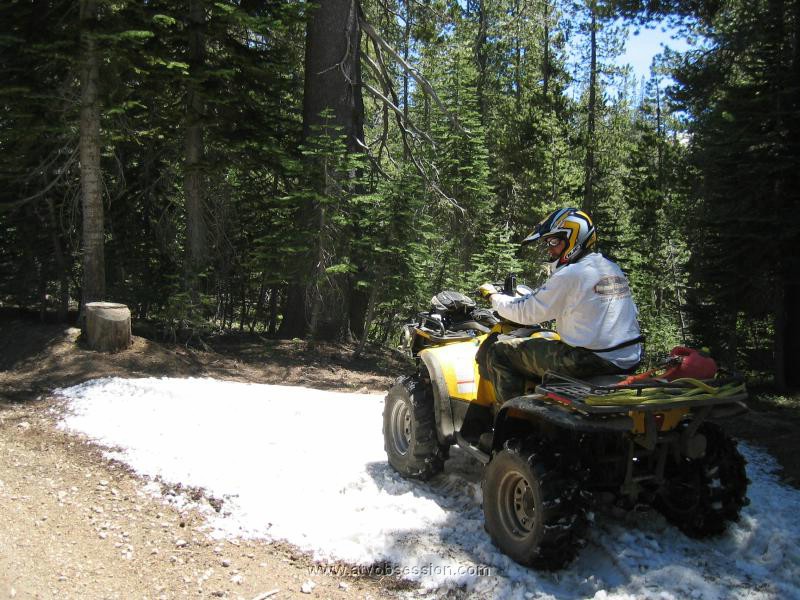 41. Nothing like a burn out in snow..jpg