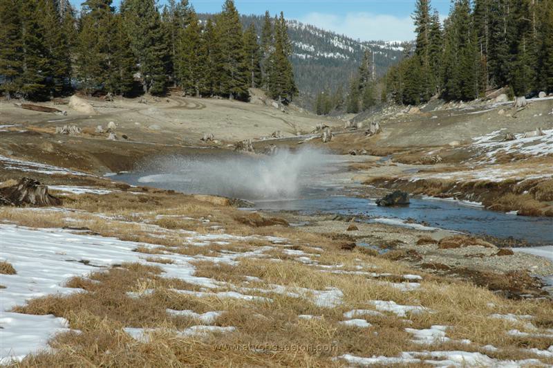 090. Dusty is there somewhere..jpg