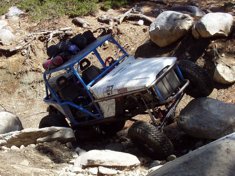 061. After setting camp at Buck Island..we meet these guys in the Big Sluice Box..jpg