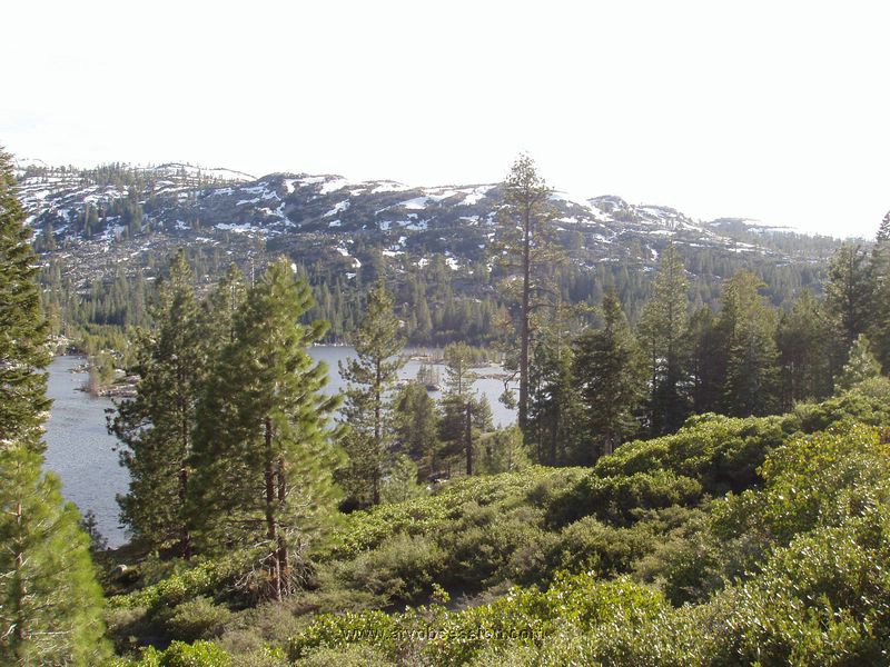 085. Chad goes wild..yet another Buck Island Lake photo..jpg