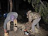 103. Jack and Larry cut wood..jpg
