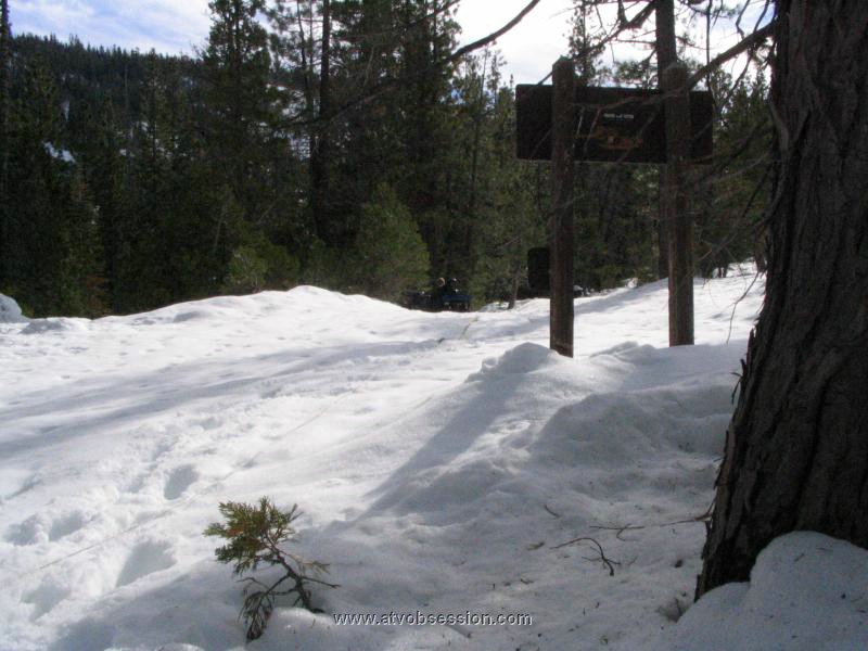 21. It was about 112 feet to best angled tree..jpg