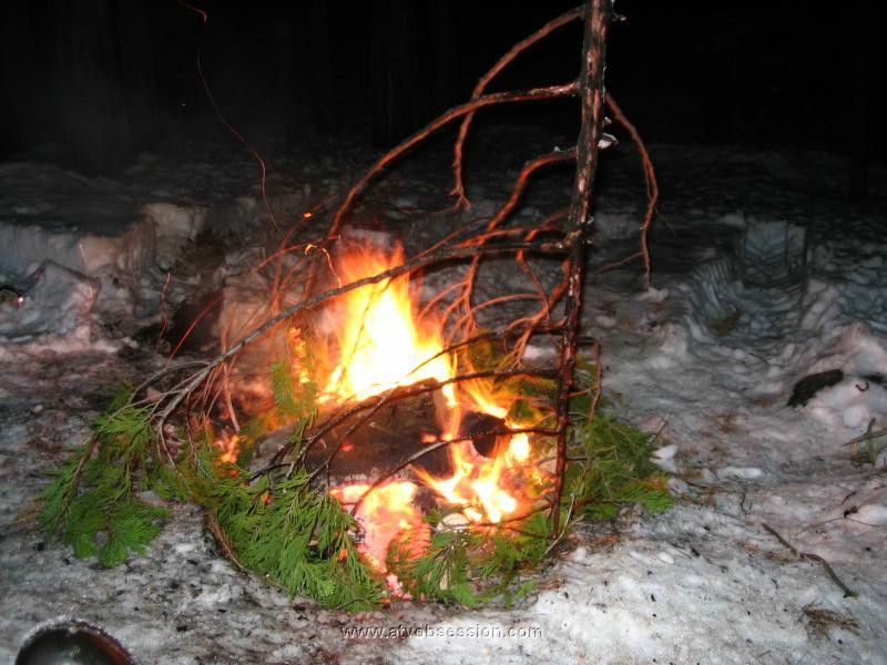 40. We found this branch on the ground, and dubbed it Charlie Brown's Tree...then burned it..jpg