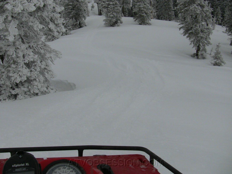 07. I'm the only tracks..jpg