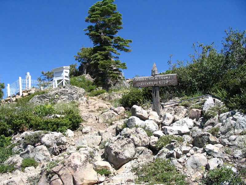 033. Elevation is 6750...we climbed from 2800 feet in Downieville..jpg