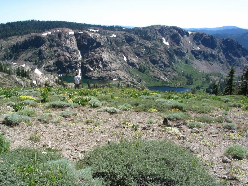 061. Casey checks 'em out..jpg