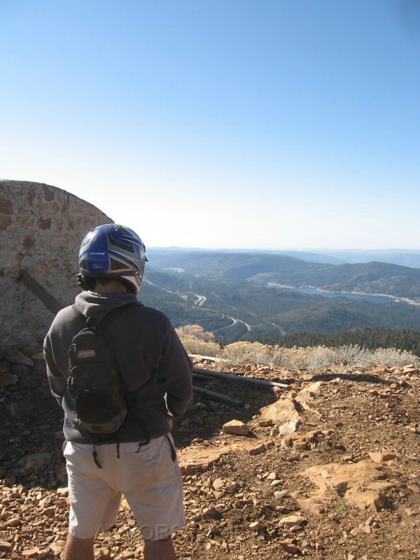 53. Dusty with one of his multi-pee breaks...Gerbel Bladder..jpg