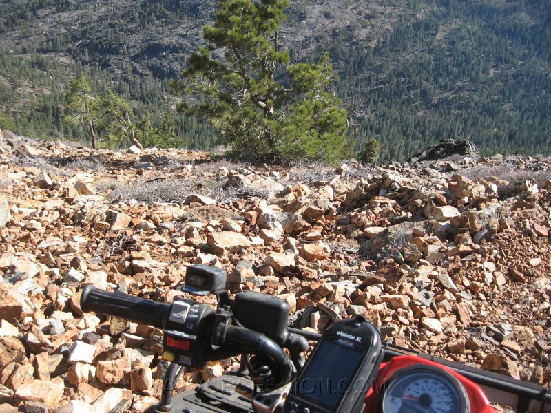 56. Dusty is a little apprehensive..jpg