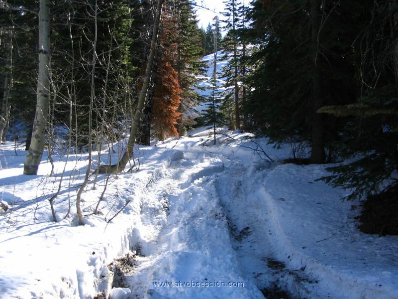 025. We have tracks in front of us..jpg