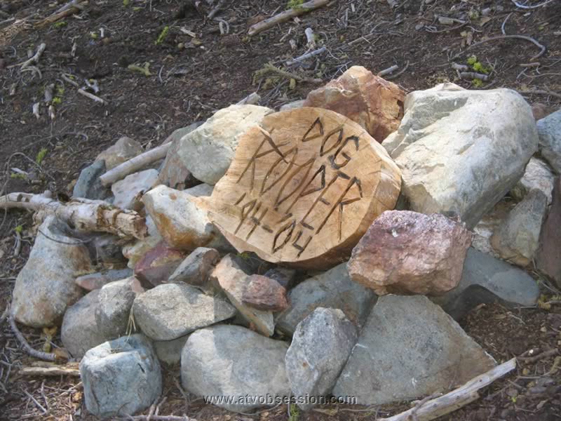 53. A dog went crazy last year...Rob had to shoot it. They made a headstone..jpg