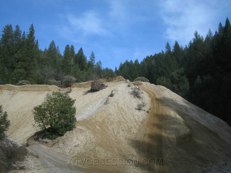 36. And she makes it!  Up there in the camo..jpg