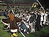 17. The Hawk joins in..jpg