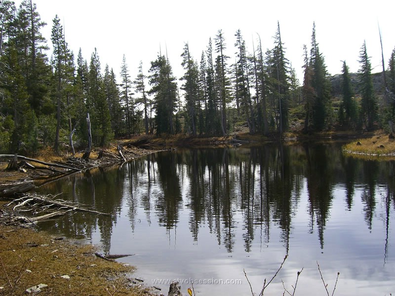 043. Another small pond...but no fish seen..jpg