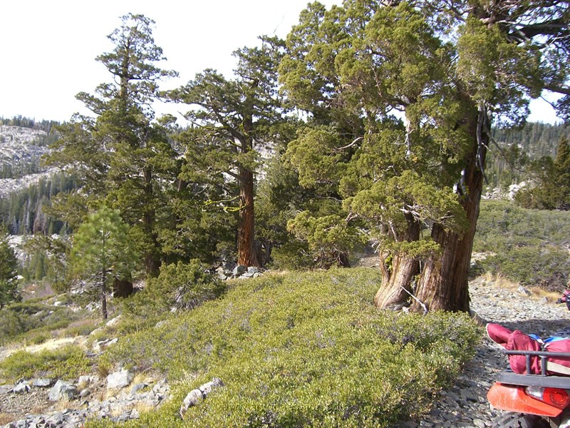 046. The trail down to Winch Hill 5..jpg