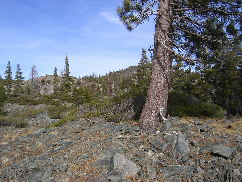 048. Are they that way...jpg