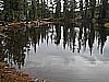 039. Nice pond..jpg