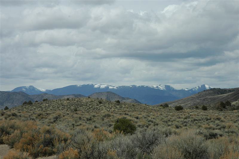 100. The Edge Of The Toyabi National Forest..jpg