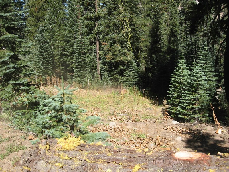 025. There she rolls!.jpg