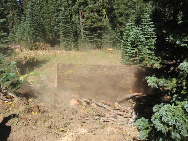 035. The road is clear!.jpg