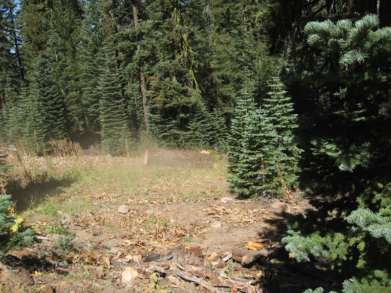 036. Wouldn't want to be in the way..jpg