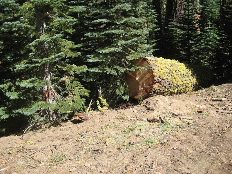 037. Only one small piece near the road..jpg