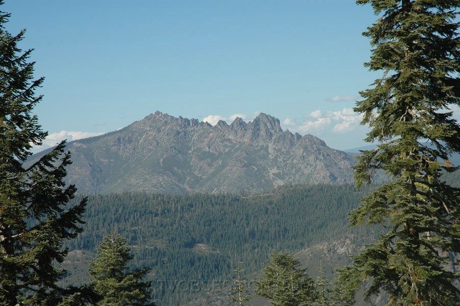 085. They never suck..jpg