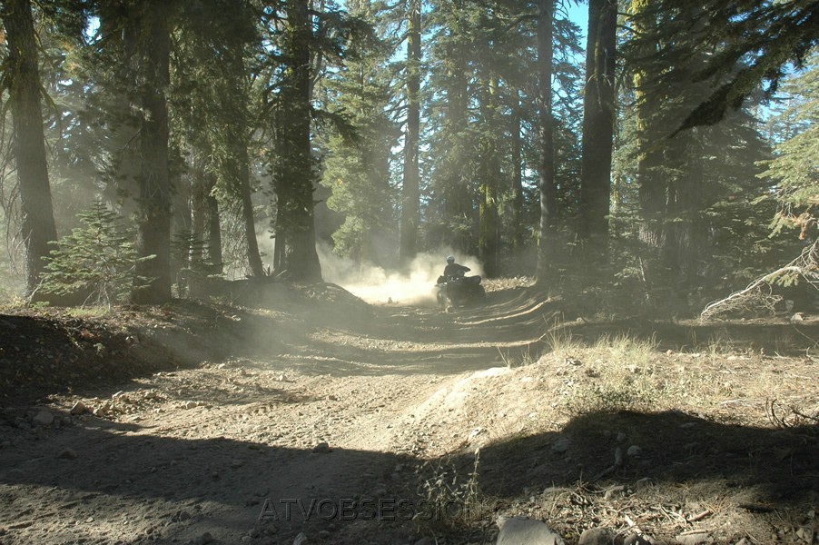 103. Unknown rider..jpg