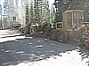 077. Lots of logging trucks in the area..jpg