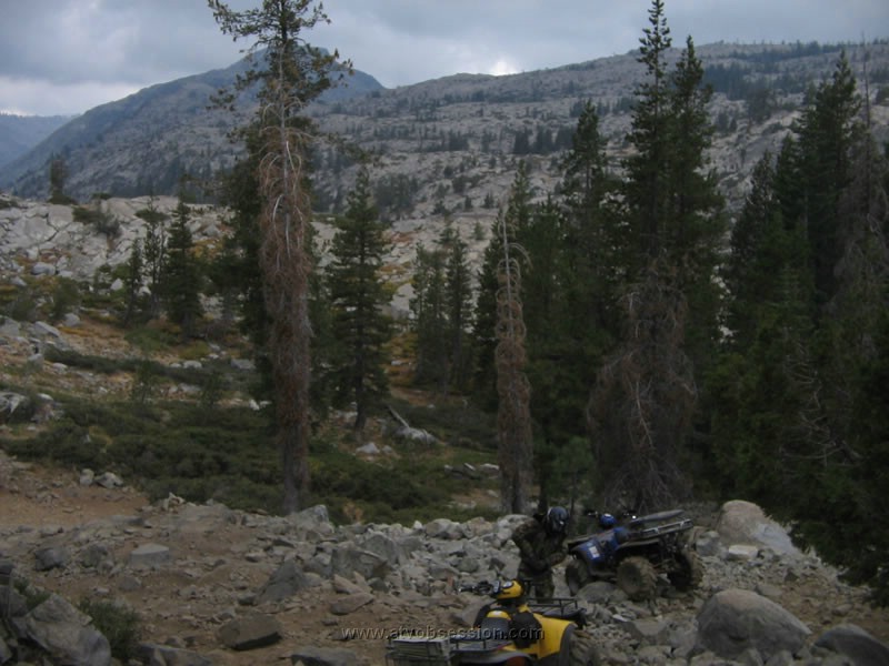 025. Jack at the top of Winch Hill 5..jpg