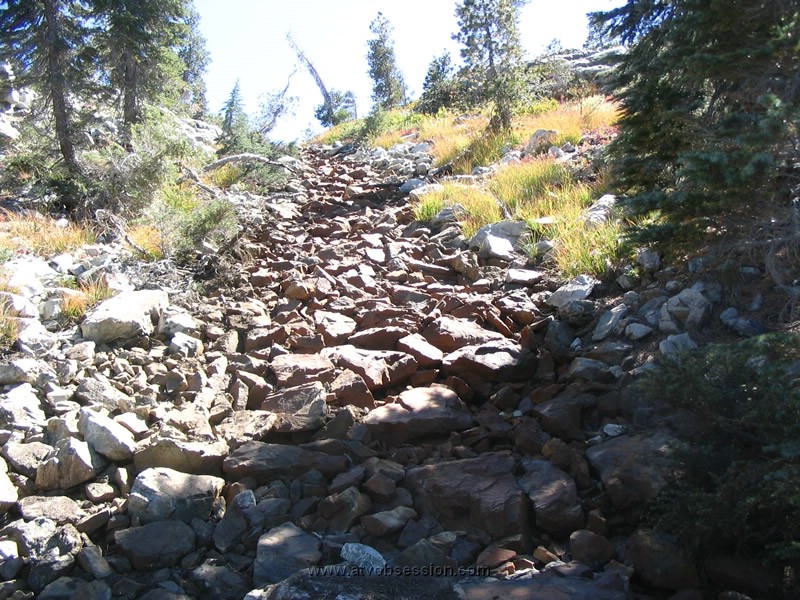 32. Now we have to back up this!!..jpg