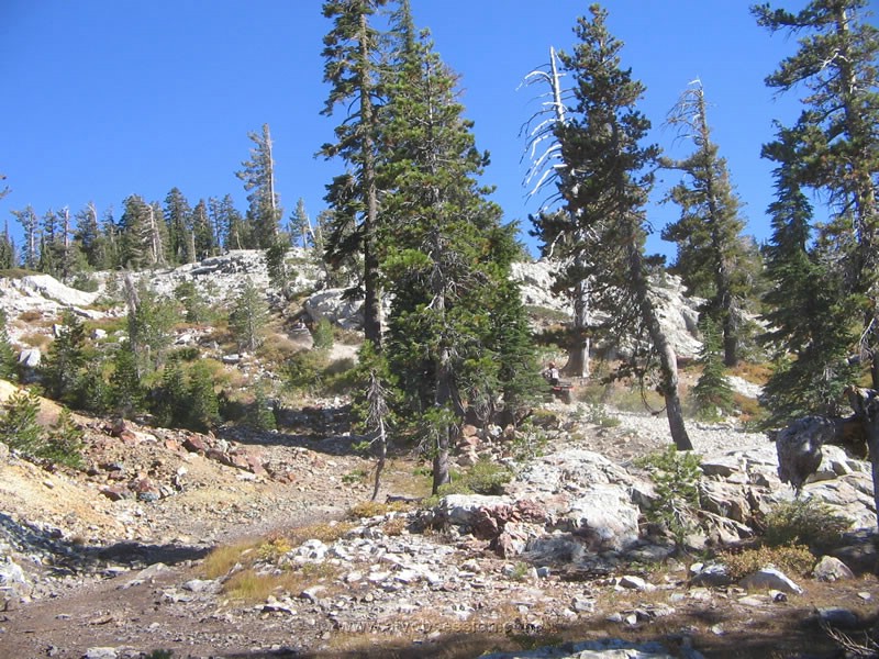 50. Let's get the flock out of here..jpg