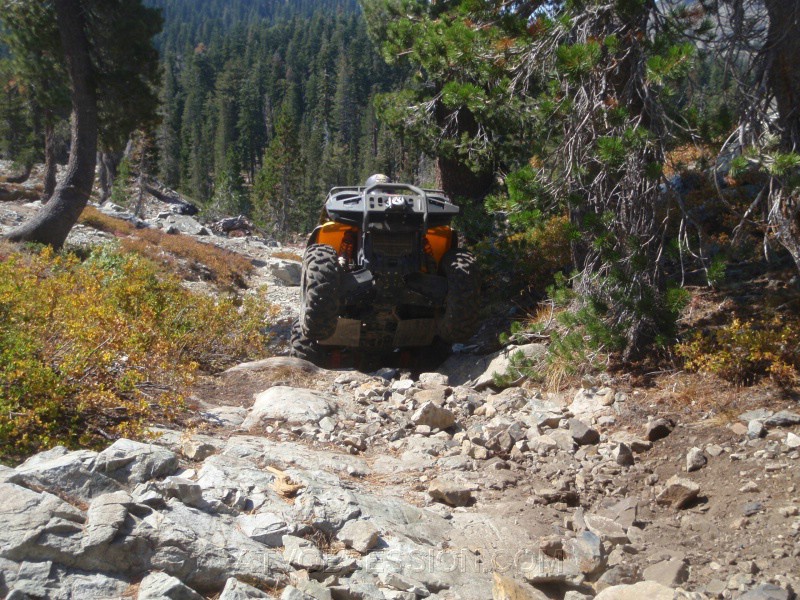 27. Wheelie boy with one more stunt..jpg