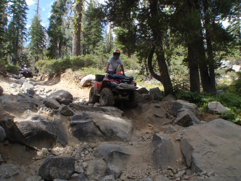 023. Dave is thinking..more rocks!.jpg