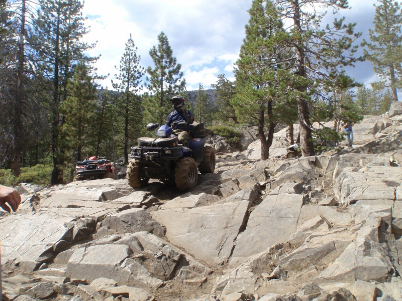 050. Jack at the Committee Crossing..jpg