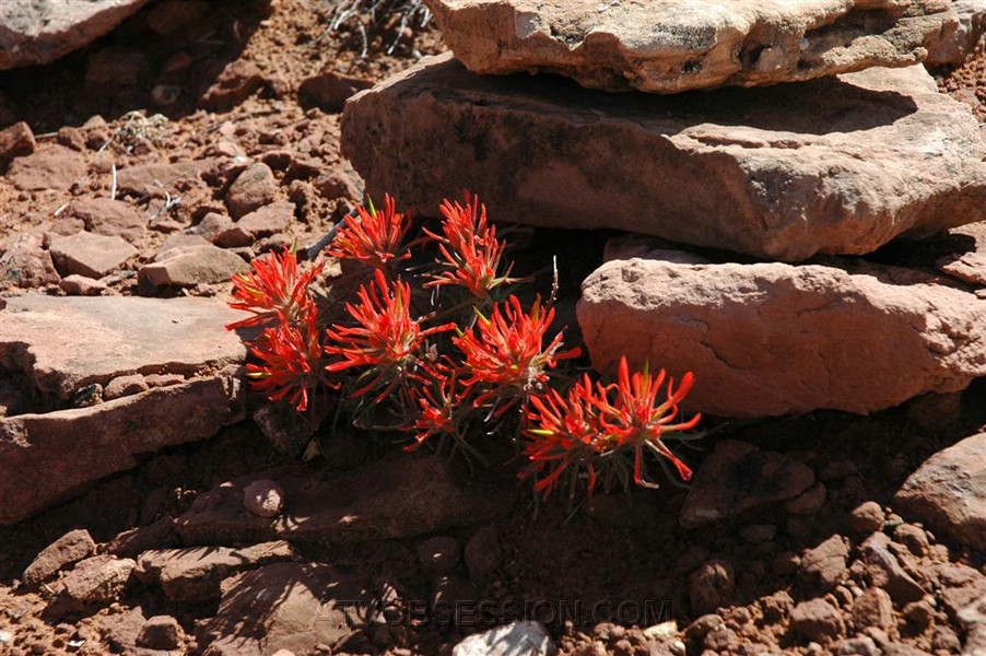 163. It's...Pretty..I guess..jpg