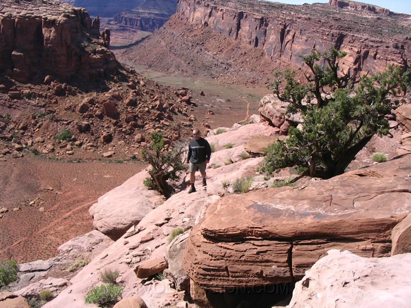 172. Dusty taking a short hike..jpg