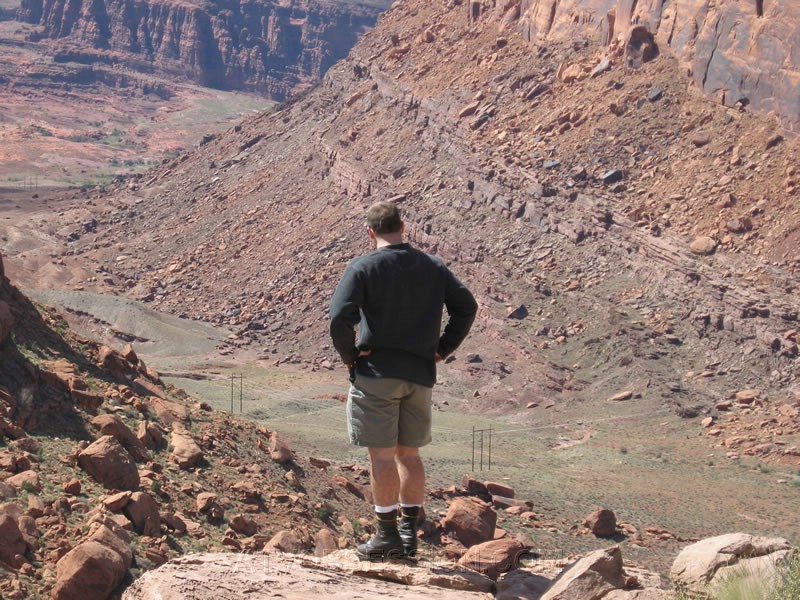 177. Dusty checking out the powerlines..jpg