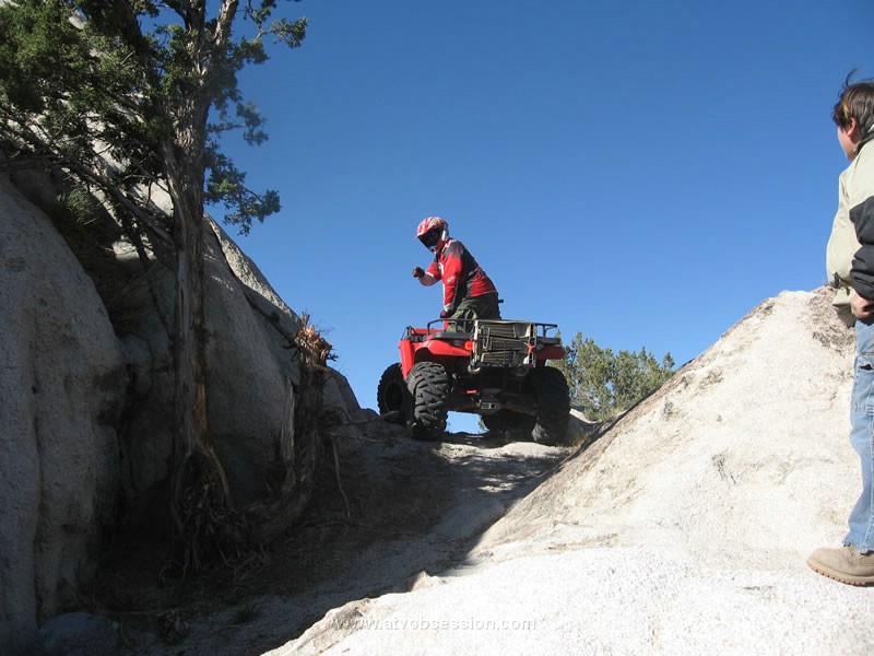 049. SWEET...made it..jpg