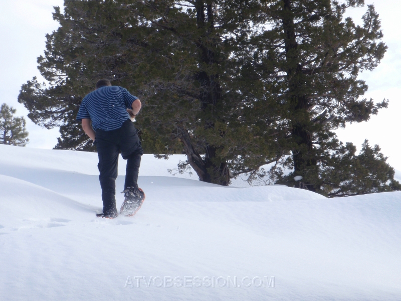 39. Put one foot in front of the other..jpg