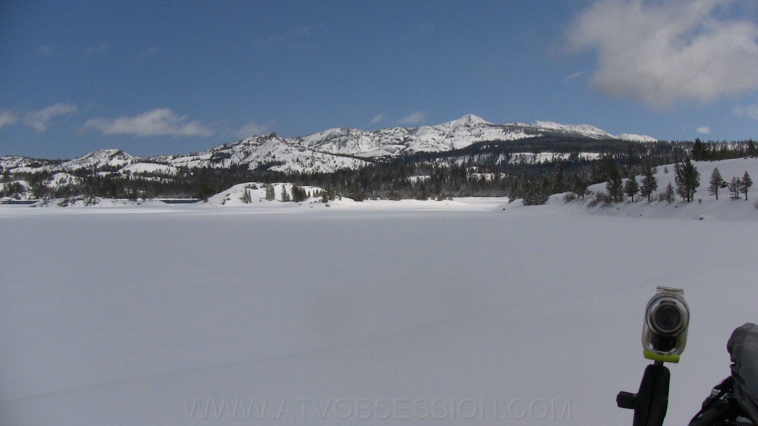 48. Loon looks cold..jpg