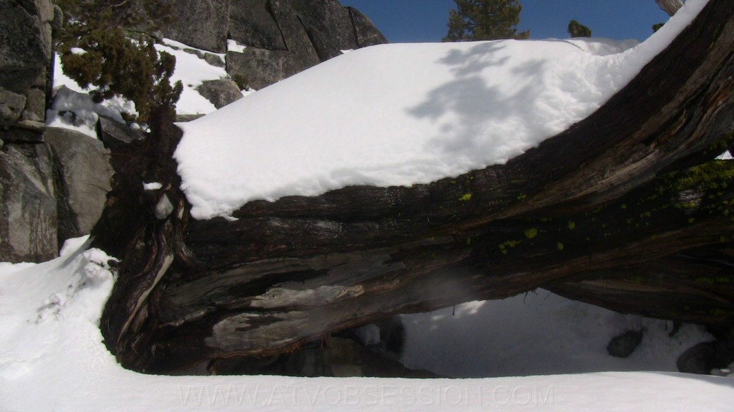 20. Not a lot of roots..jpg