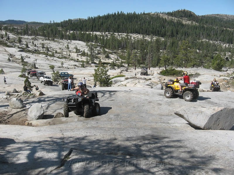 028. The rest worm their way up..jpg