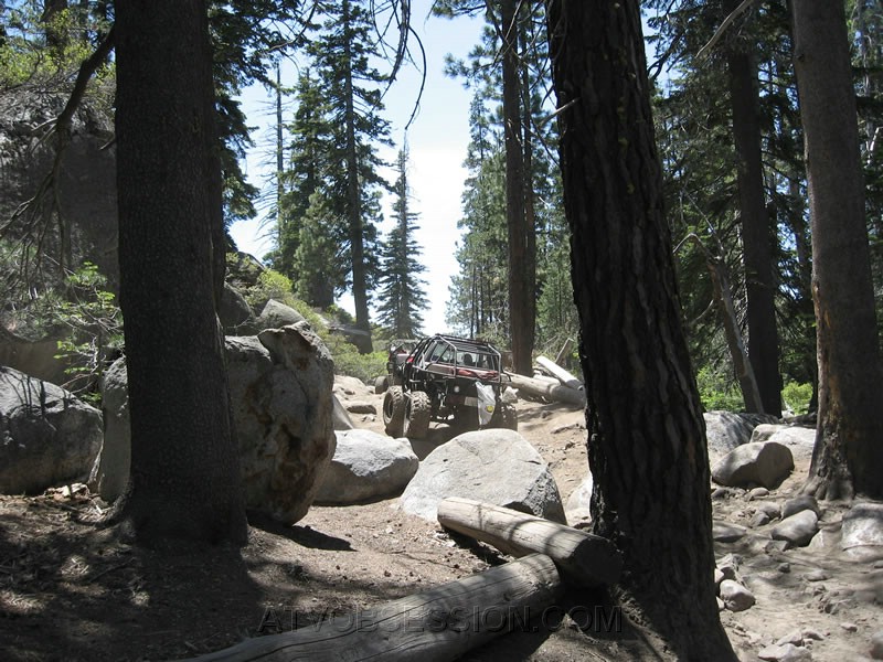 217. Our only traffic..jpg