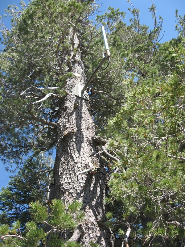 13. It's got a cell, but no clue what for..jpg