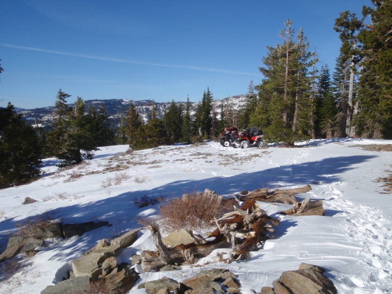 23. Yes..they made it..jpg