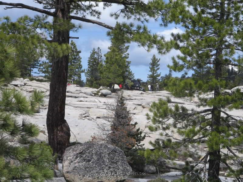 57. And these guys were in the closed property..jpg